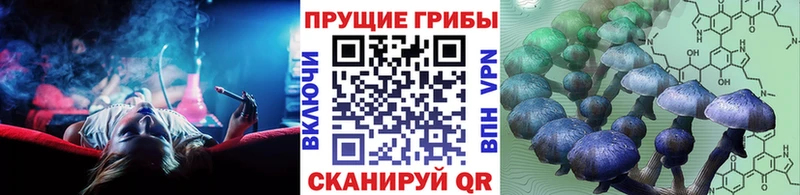 Галлюциногенные грибы прущие грибы  Зубцов 